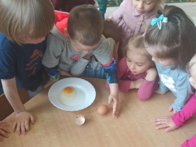 Zabawy badawcze z jajkiem- grupa Biedronki